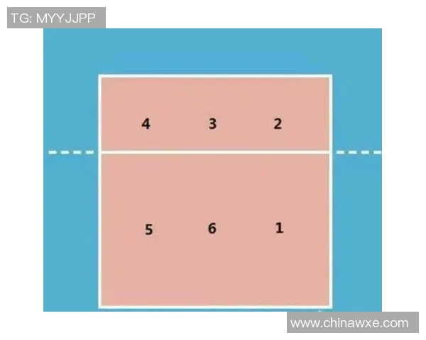 从零起步掌握排球技巧全面指南助你成为排球高手MBA