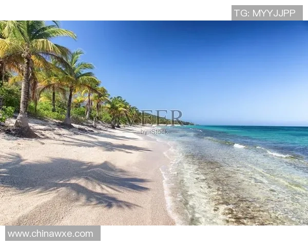 韩国队迎战洪都拉斯队力争在国际赛场上取得佳绩