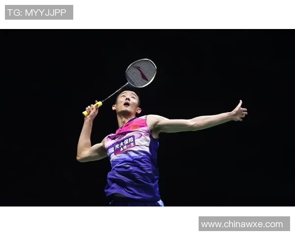 北京羽毛球队区域防守革新探索与实践的深度分析与启示