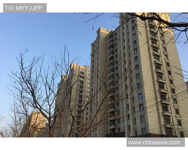 沈阳城建与成都兴城的对决分析及未来发展前景探讨